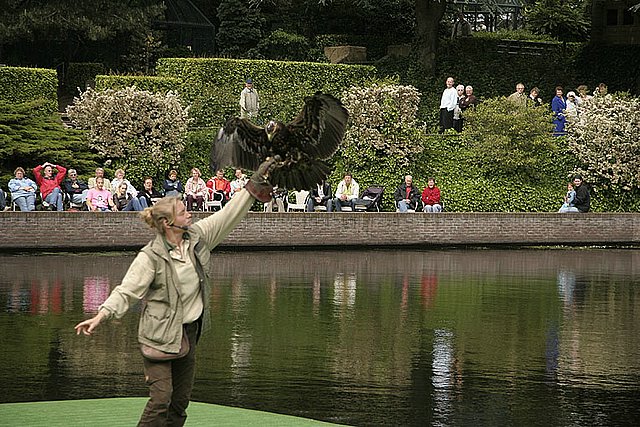 2005 Avifauna (27)